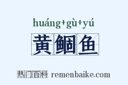 黄鲴鱼是什么意思的图片